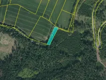 Dražba pozemku, Mladá Vožice, 2401 m2