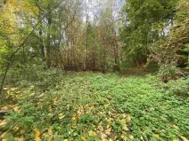 Prodej pozemku, Svijany, 1003 m2