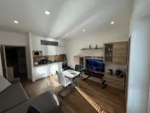 Pronájem bytu 1+kk, Brno, Dřevařská, 40 m2