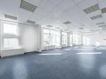 Pronájem obchodního prostoru, Praha - Holešovice, Na Maninách, 360 m2
