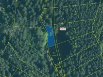 Dražba lesa, Hosty, 418 m2