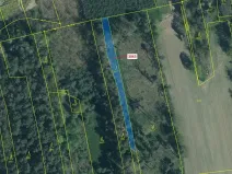 Dražba lesa, Koloveč, 703 m2