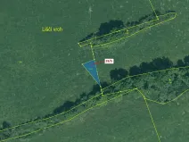 Dražba pole, Lhenice, 190 m2