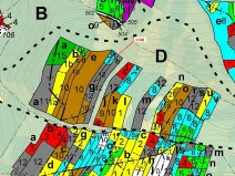 Dražba lesa, Vilice, 1105 m2