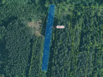 Dražba lesa, Hosty, 1942 m2