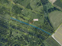 Dražba lesa, Nová Hradečná, 6275 m2