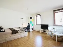 Pronájem bytu 1+kk, Brno, Křídlovická, 31 m2