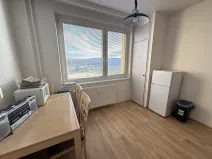 Pronájem bytu 1+1, Brno, Fleischnerova, 41 m2