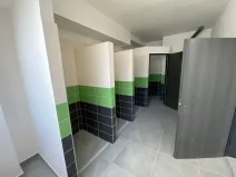 Pronájem ubytování, Dalovice, Botanická, 20 m2