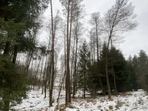 Prodej pozemku, Veliny, 1630 m2