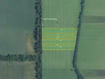 Prodej pole, Dolní Dunajovice, 139332 m2