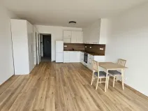 Pronájem bytu 1+kk, Písek, Pražská, 38 m2