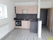 Pronájem bytu 1+kk, Litovel, Severní, 48 m2