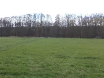 Prodej pole, Tachov, 55666 m2