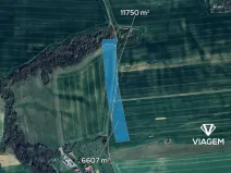 Prodej podílu pole, Osvětimany, 6119 m2