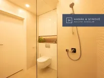 Pronájem bytu 1+kk, Brno, Koliště, 22 m2