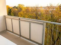 Prodej bytu 3+1, Olomouc - Nová Ulice, Pionýrská, 60 m2