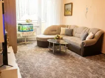 Prodej bytu 1+1, Olomouc - Nová Ulice, Pionýrská, 45 m2