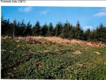 Prodej lesa, Vladislav, 11904 m2