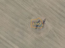 Dražba louky, Krchleby, 7831 m2