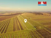 Prodej pole, Velké Bílovice, 3600 m2