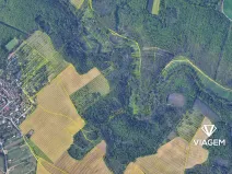 Prodej lesa, Radostice, 2524 m2