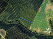 Prodej pole, Určice, 1288 m2