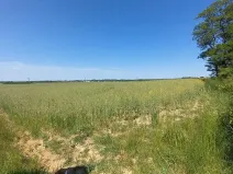 Prodej pole, Čestlice, Říčanská, 3118 m2