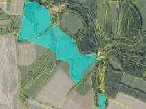 Prodej lesa, Kouřim, 87548 m2