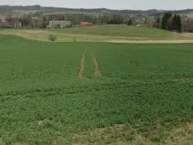 Dražba pole, Horní Cerekev, 18662 m2