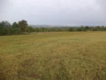 Dražba louky, Horní Pěna, 1083 m2