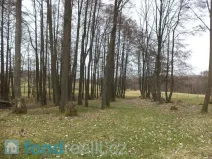 Prodej pozemku, Dolní Nivy, 3865 m2