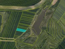 Prodej podílu pole, Nenkovice, 2909 m2