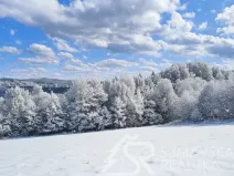Prodej pozemku, Sušice - Záluží, 3500 m2
