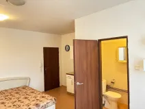 Pronájem bytu 1+kk, Karlovy Vary, T. G. Masaryka, 25 m2