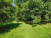 Prodej pozemku pro bydlení, Zlatá Olešnice, 4188 m2