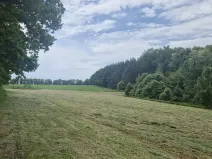 Prodej lesa, Paceřice, 4924 m2