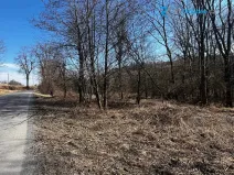 Prodej pozemku pro bydlení, Budišov nad Budišovkou, 556 m2