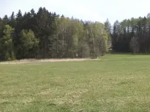 Dražba louky, Mezno, 8388 m2