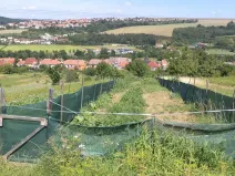 Dražba louky, Podolí, 10906 m2