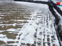 Prodej pole, Dolní Slivno, 10322 m2