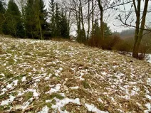 Prodej pozemku pro bydlení, Pertoltice pod Ralskem, 1283 m2