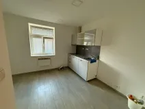 Pronájem bytu 1+kk, Praha - Vršovice, Holandská, 20 m2