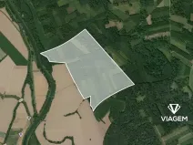 Prodej podílu lesa, Uhřičice, 2517 m2