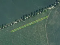 Prodej pole, Nosislav, 10269 m2