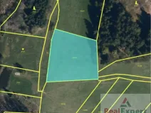 Prodej pole, Nový Rychnov, 73681 m2