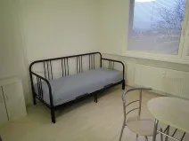 Pronájem bytu 1+kk, Liberec - Liberec I-Staré Město, Ruprechtická, 20 m2