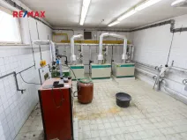 Prodej obchodního prostoru, Město Albrechtice, Míru, 1427 m2