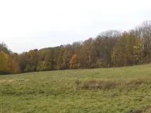 Dražba louky, Nový Jičín, 6670 m2