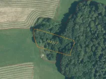 Dražba louky, Nový Jičín, 6670 m2